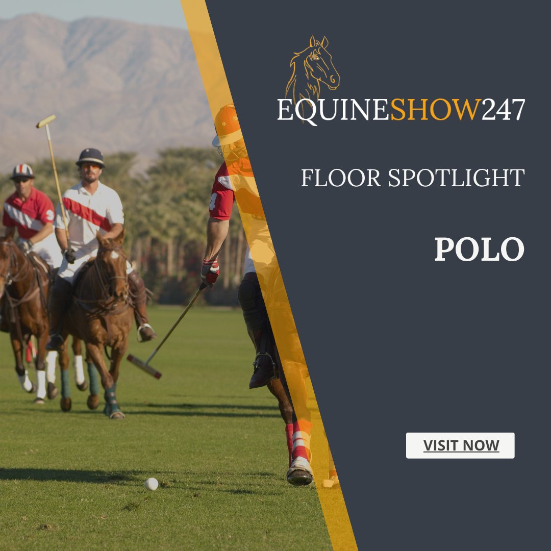 Thought about learning how to play polo? What about a team-building corporate day? Do you have a polo business that needs more exposure? Explore the polo floor in the exhibition hall or contact us to get your branded virtual space live on the platform. equineshow247.com