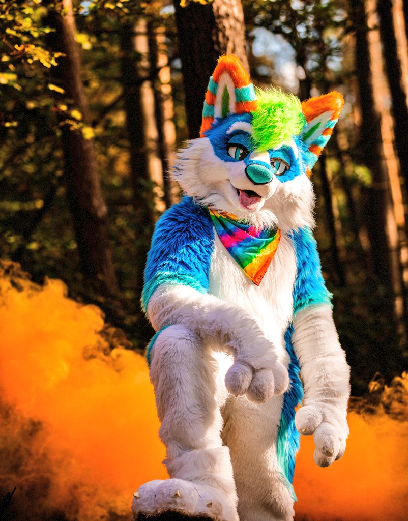TruffelWusky's tweet photo. I love to be outside, and you? ☀️💙
#TruffelTuesday

📸 @Jekyllfoxx
#furry https://t.co/NO6il6zJlC