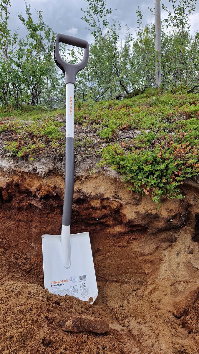 First day of fieldwork in Finnmark and inauguration of the new spade today. It's white! For now. @LundGeology <a href="/USN_info/">USN</a>