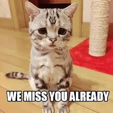 Its been an amazing term. We hope you all have a fantastic Summer Holiday. 

See you all on the 19th September 🙂🥰 .