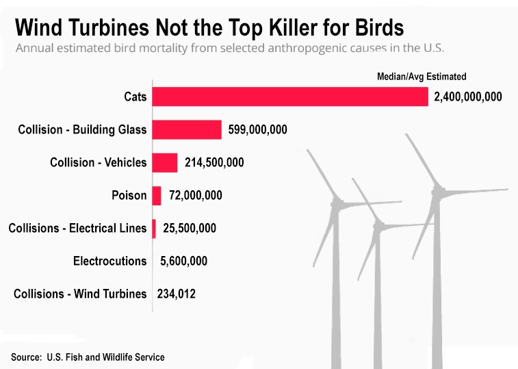 AlecStapp's tweet photo. The fearmongering about wind turbines &amp; bird deaths needs to stop:

"in meeting the Biden admin's admirable goal of deploying 30 GW of offshore wind by 2030, bird deaths from collisions could rise to more than a million per year."

Cats kill 2.4 ***billion*** birds per year! https://t.co/3HpnCqn4fX