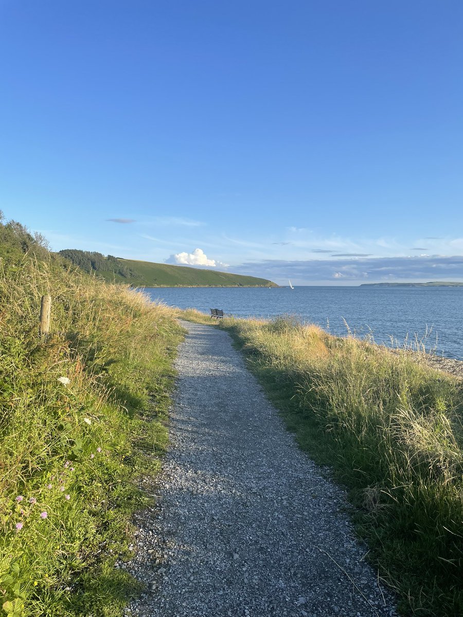 Thanks <a href="/johncreedon/">john creedon</a> for great company on my walk every evening  Middle Cove #kinsale