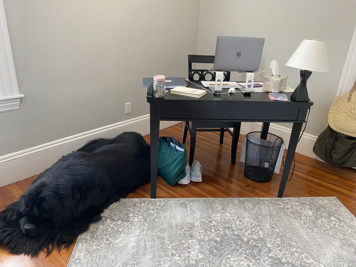 Tammy McBride tweet media