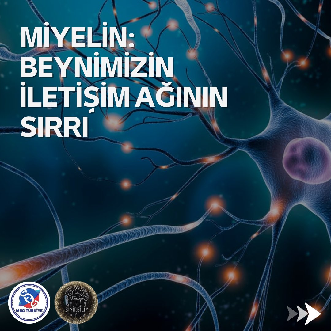mbgturkiye's tweet photo. İçerik: Ensar Şen
Tasarım: @nurefsanartarr &amp; @Denizior4 https://t.co/JWmV4bvIek