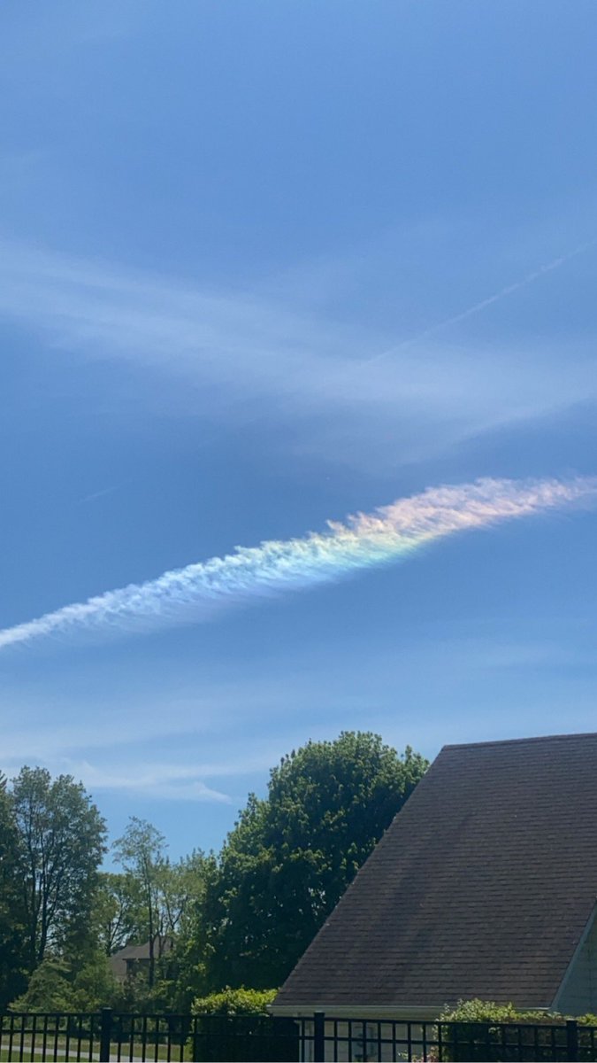 DarkTraveller76's tweet photo. @gunsnrosesgirl3 @RachieRach429 Took these 2 weeks ago in my back yard https://t.co/ks81KlMEDm