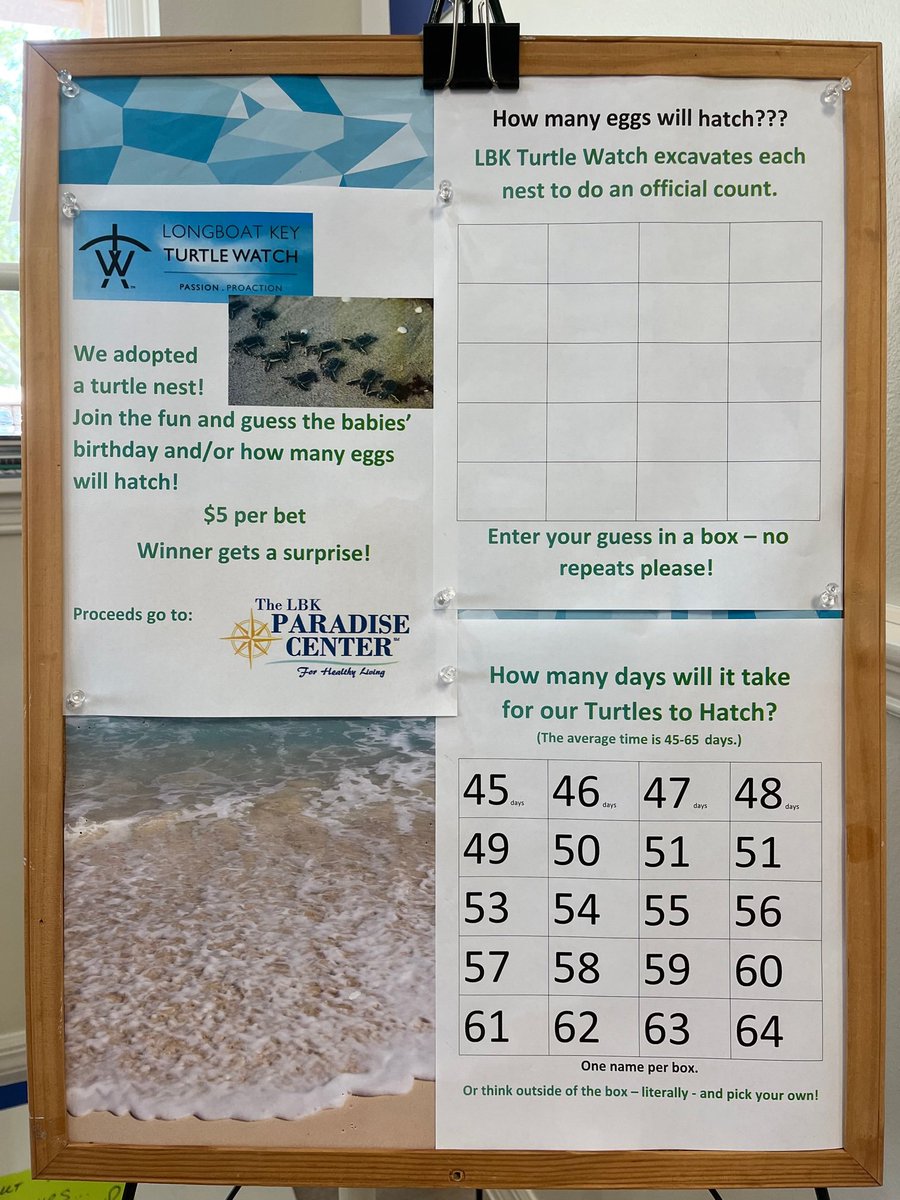 AgingInParadise's tweet photo. We're adopting! You, too, can adopt a turtle nest with LBK Turtle Watch. Come in and place your bet on when our babies will be born. https://t.co/sOxWgUeko6