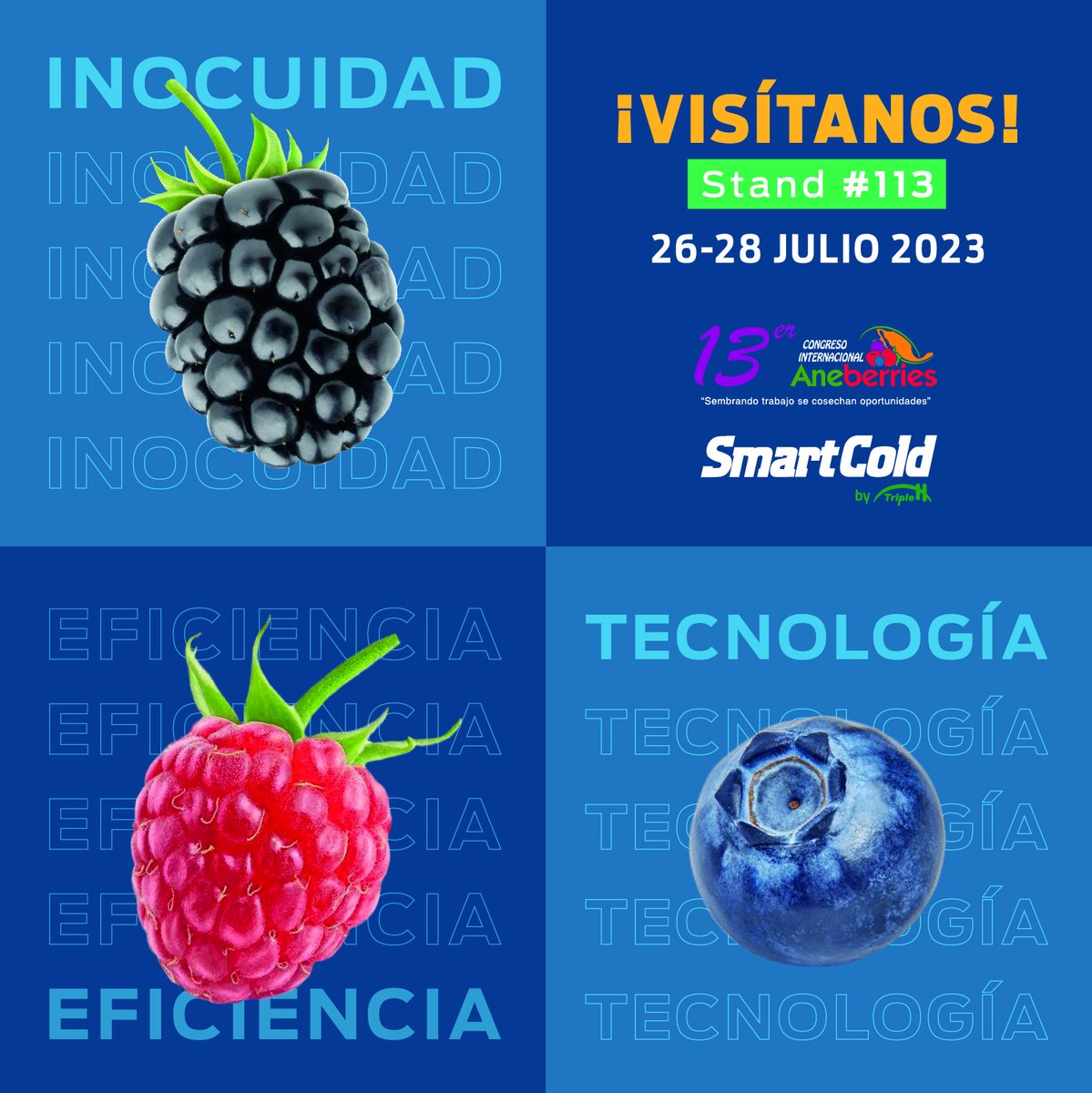 SmartCold_US's tweet photo. Inocuidad, eficiencia y tecnología al alcance de tus berries🫐📡  ¡Visítanos en el stand #113 de @aneberriesmx y descubre lo que tenemos para ti! 😉 https://t.co/mOi49JuGPT
