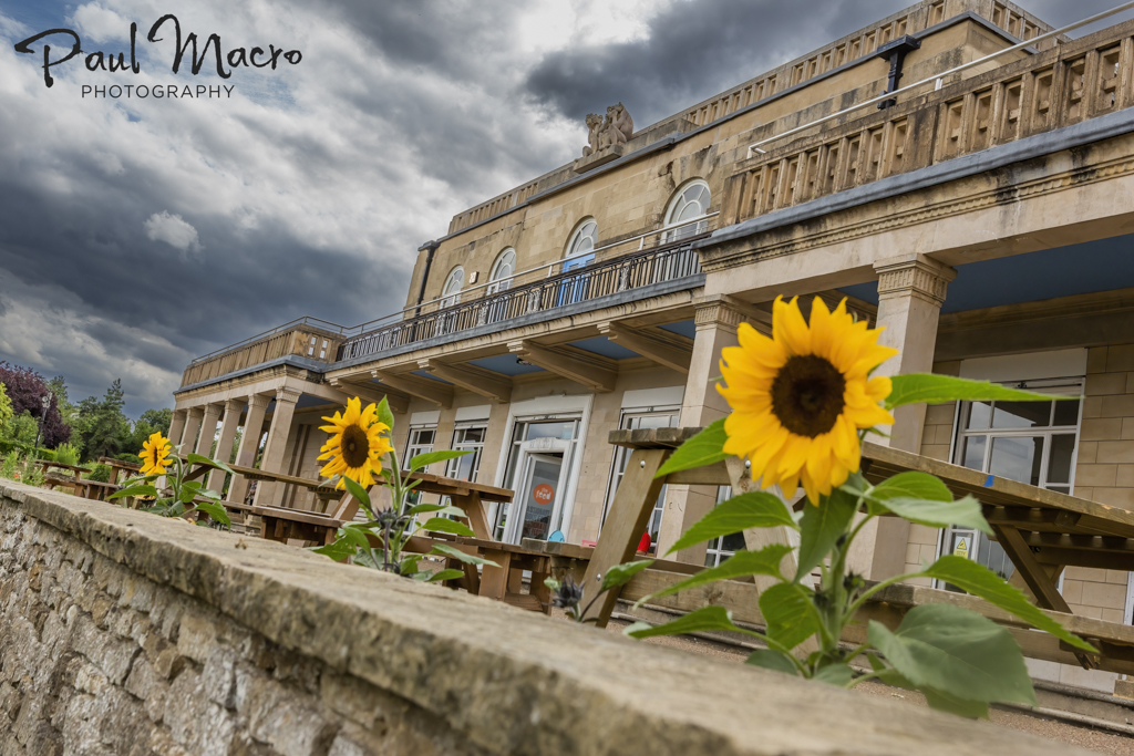 Paul Macro tweet media