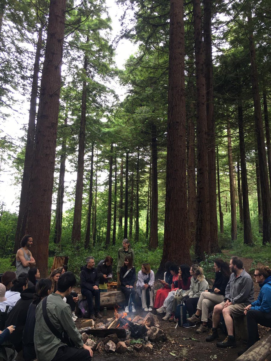 One of the highlights of summer is the Schumacher Experience - an immersive week spent getting to know the Head, Heart & Hands approach and dipping a toe into our vibrant learning community, including this session with @andyletcher, programme lead for the MA Engaged Ecology.