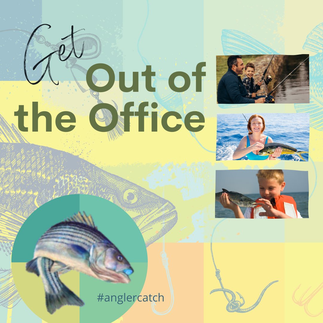 harborlightsw's tweet photo. Here's your sign!!!!  As the weather heats up, get the AnglerCatch app, record your catch and submit your trips - help local fisheries make better informed decisions.  It's more than just a complete logbook - it's a set of tools to help you fish better! https://t.co/SoxZKZYx7N https://t.co/xflMIl8Zsl