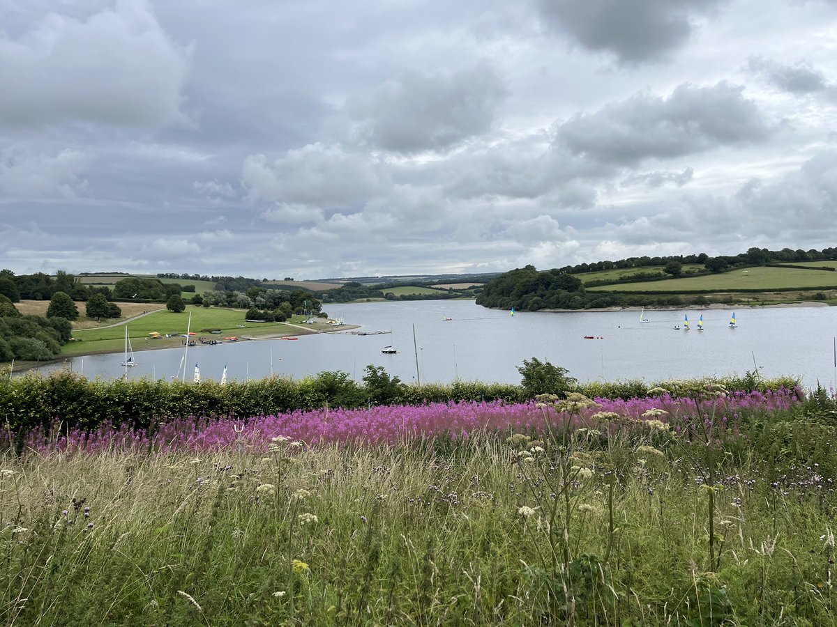baileyinabailey's tweet photo. Can’t beat #wimbleballlake for a lovely dog walk from #exebridge @candmclub site https://t.co/YBhdrLeASG