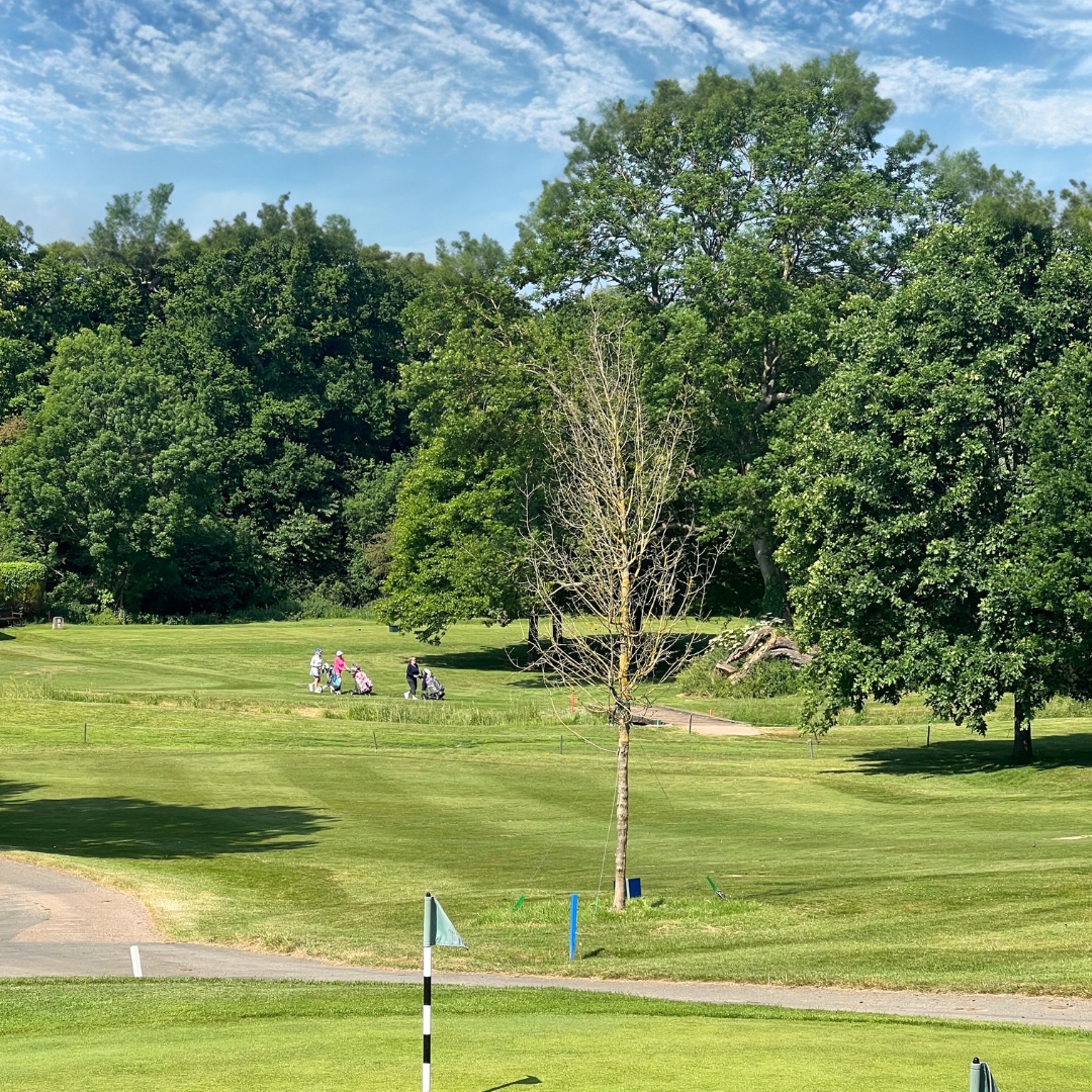Enfield Golf Club: Where fairways meet perfection, and every swing is a masterpiece. Experience the epitome of elegance on our captivating golf course ⛳️ 

#enfieldgolfclub #enfield #golf #golfer #golfing #golfstagram #golflife #golfswing