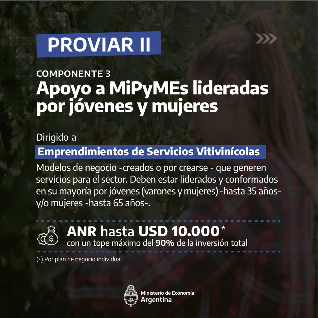 DesarrolloFedAR's tweet photo. @INVArgentina @COVIAR1 @intaargentina @SergioMassa @JorgeNeme_ @JuanjoBahillo @Economia_Ar #PROVIARII cuenta con tres componentes:
✅Innovación tecnológica y organizacional para la producción vitícola.
✅Apoyo para la comercialización de pequeñas y medianas establecimientos vitivinícolas.
✅Apoyo a micro, pequeñas y medianas empresas lideradas por jóvenes y mujeres. https://t.co/EY2niaq8yl