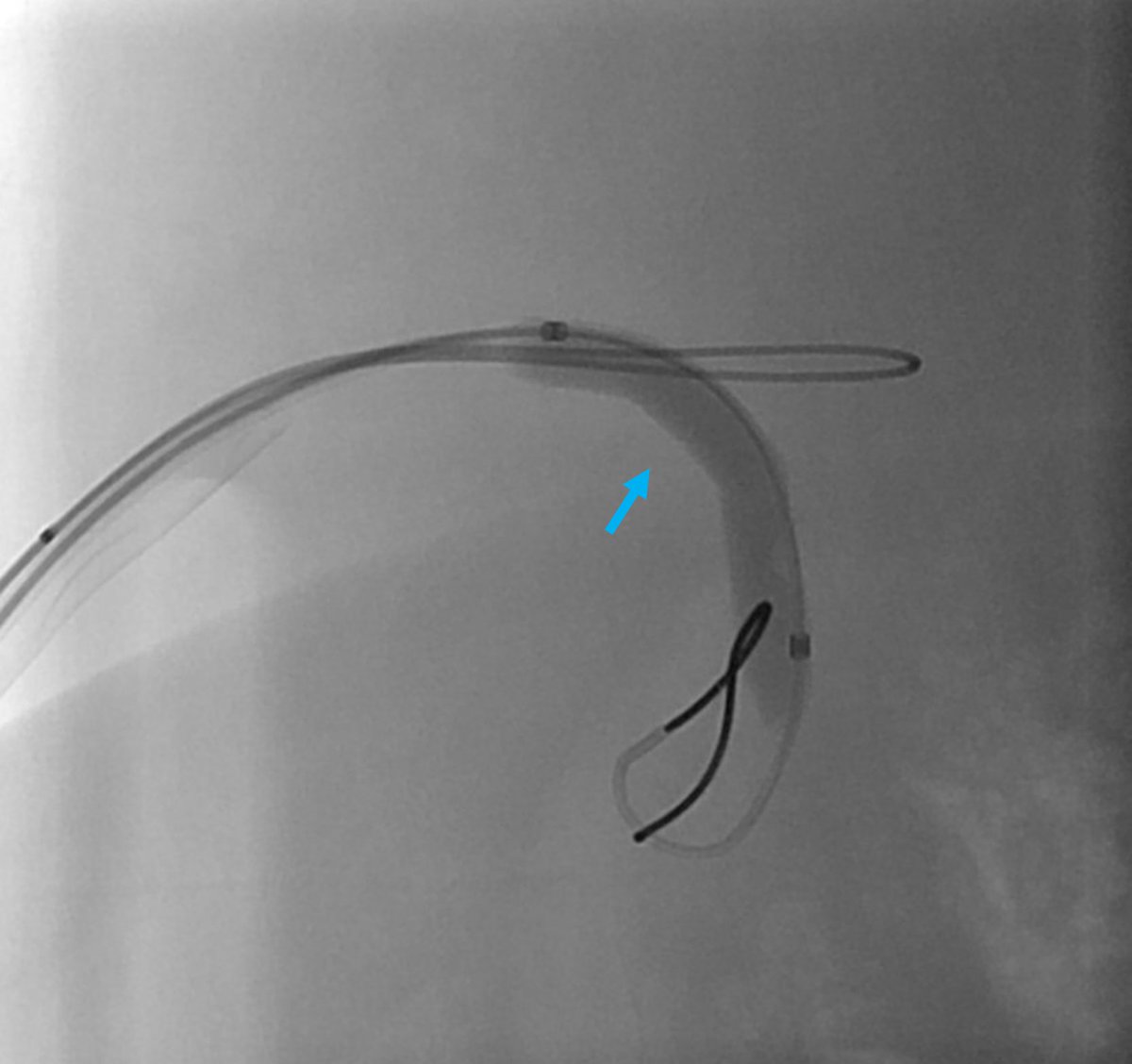 Ahsun Riaz tweet media