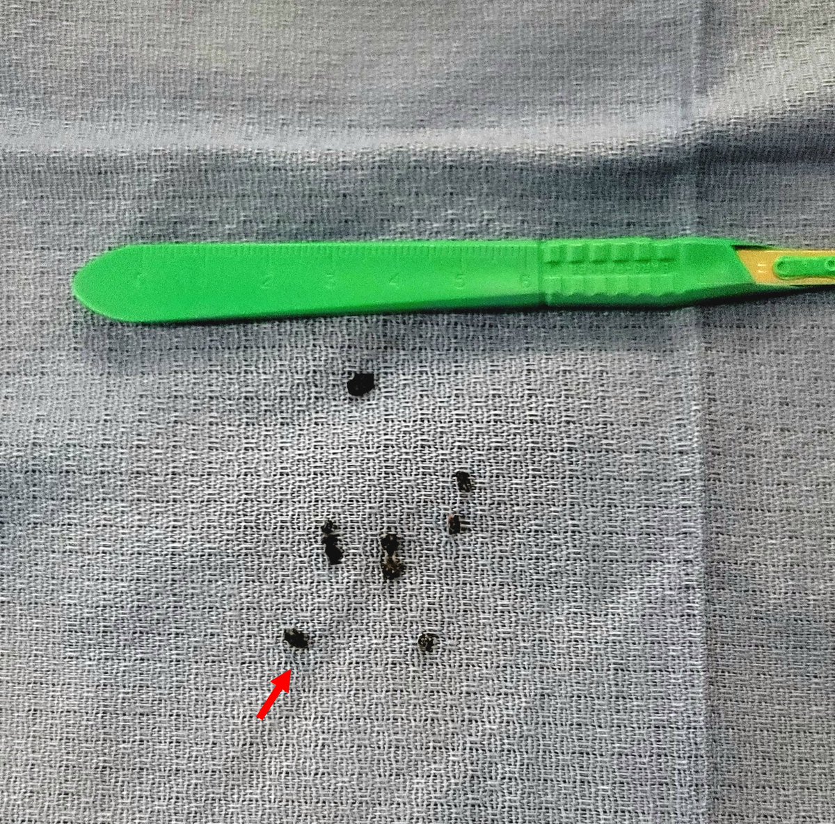 Ahsun Riaz tweet media