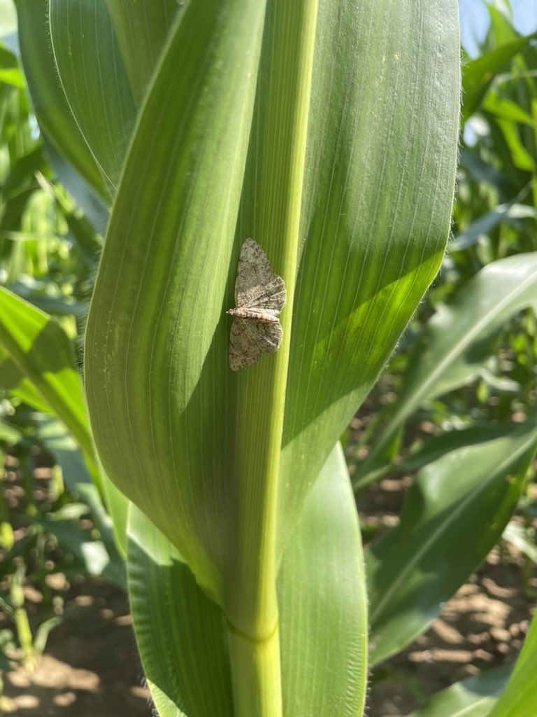 John Shepherd tweet media