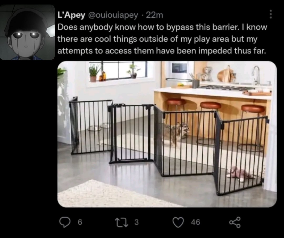 menacing seagull 🦹‍♂️ (@kiwi_pasta) on Twitter photo 