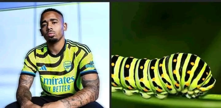 Hahaha I can't  explain <a href="/Arsenalnewschan/">Arsenal News Channel</a>  @arse