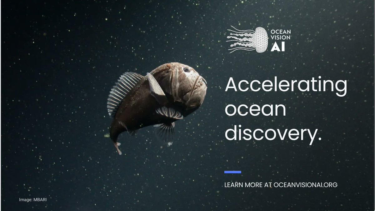 With our partners, we’re developing an ecosystem of tools and products to make artificial intelligence, #MachineLearning, and #OceanResearch more accessible because we believe connecting communities and data will accelerate ocean discovery. 

Learn more: oceanvisionai.org