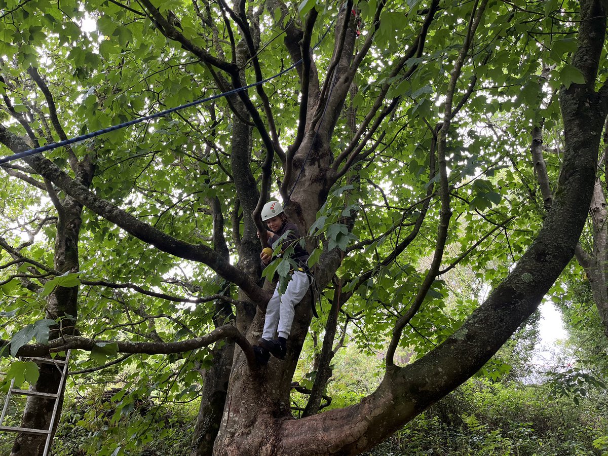 llanrhidianp's tweet photo. Finding shelter in the trees from the rain! π³π§οΈ How high can you climb? Some great teamwork today and encouragement! π #LlanHealth #Llan4P #LlanOut #LlanFun https://t.co/x2ZRLHBbH3