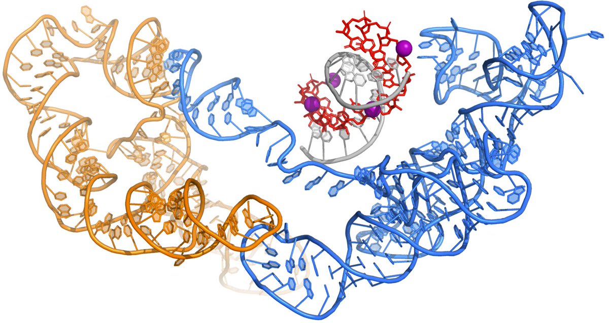 James Attwater (@drjamesattwater) on Twitter photo PDRA opportunity in our group <a href="/UCLChemistry/">UCL Chemistry</a> to develop & characterise ribozymes that harness primordial chemistries. 28 months, funded by BBSRC & Royal Society; org chem or mol bio background. Apply by 7th August: tinyurl.com/4bhhf2v2 PDRA opportunity in our group <a href="/UCLChemistry/">UCL Chemistry</a> to develop & characterise ribozymes that harness primordial chemistries. 28 months, funded by BBSRC & Royal Society; org chem or mol bio background. Apply by 7th August: tinyurl.com/4bhhf2v2