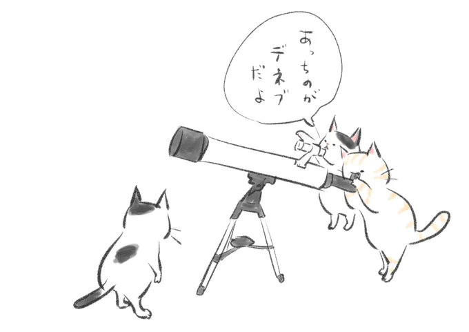 今日もなんだかんだと平和な1日でした。
おやすみなさい 