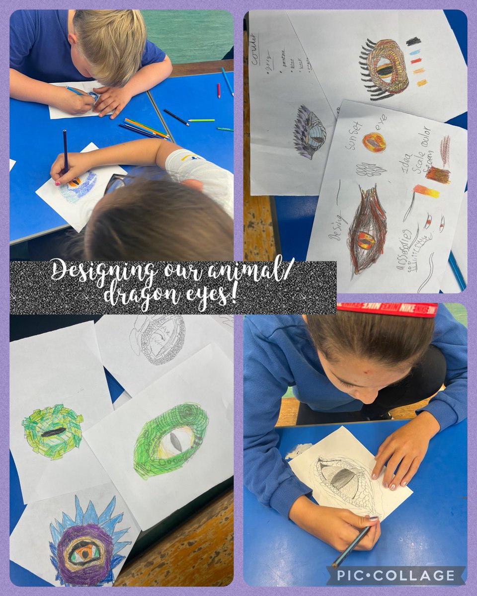 Llandeilo Primary tweet media