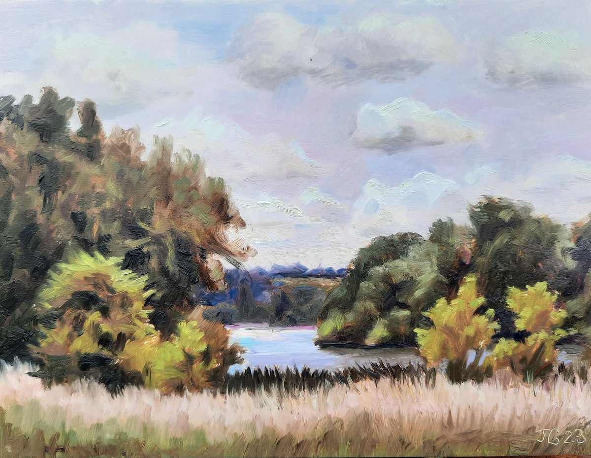 A painting of the riverThames between Marlow and Bourne End, painted earlier today. Oil on gesso panel, 18 x 24 cm 
#RiverThames #marlow #bourneend #landscapeoilpainting #oilpainting #oilpaintingonpanel #pleinairpainting #pleinair #art #artwork