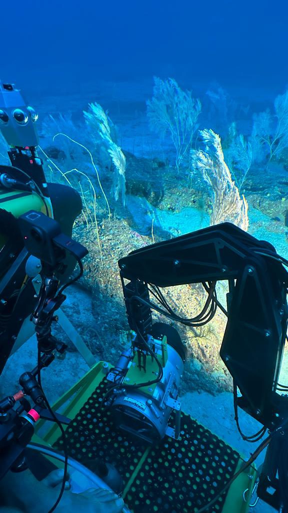 Thomas Pesquet tweet media