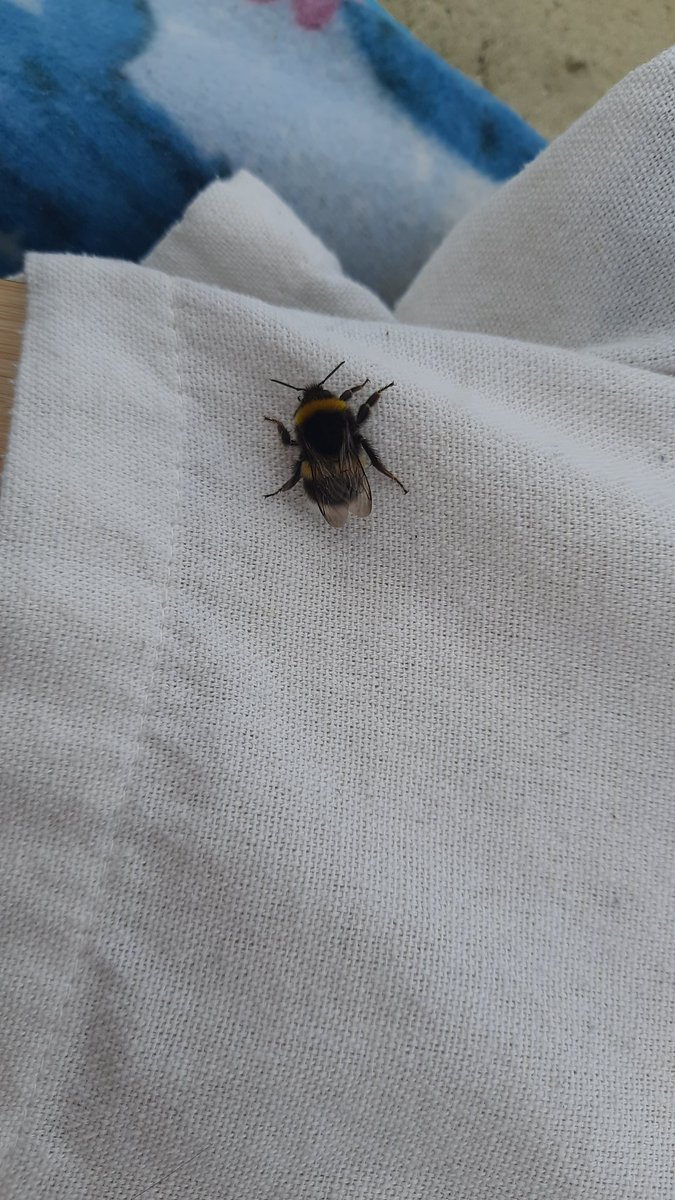 ilon_aaa's tweet image. Turururururueururur rururururururururu rururururuuuuuuu rururururururruruu rurururururururu rurirueuruurururu rurururuuuuuu rururururueueeue