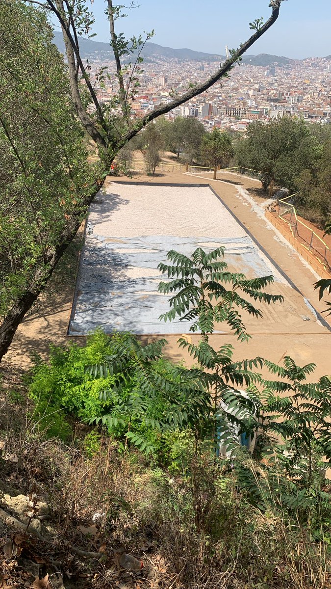 Eudosio Gutierrez tweet media