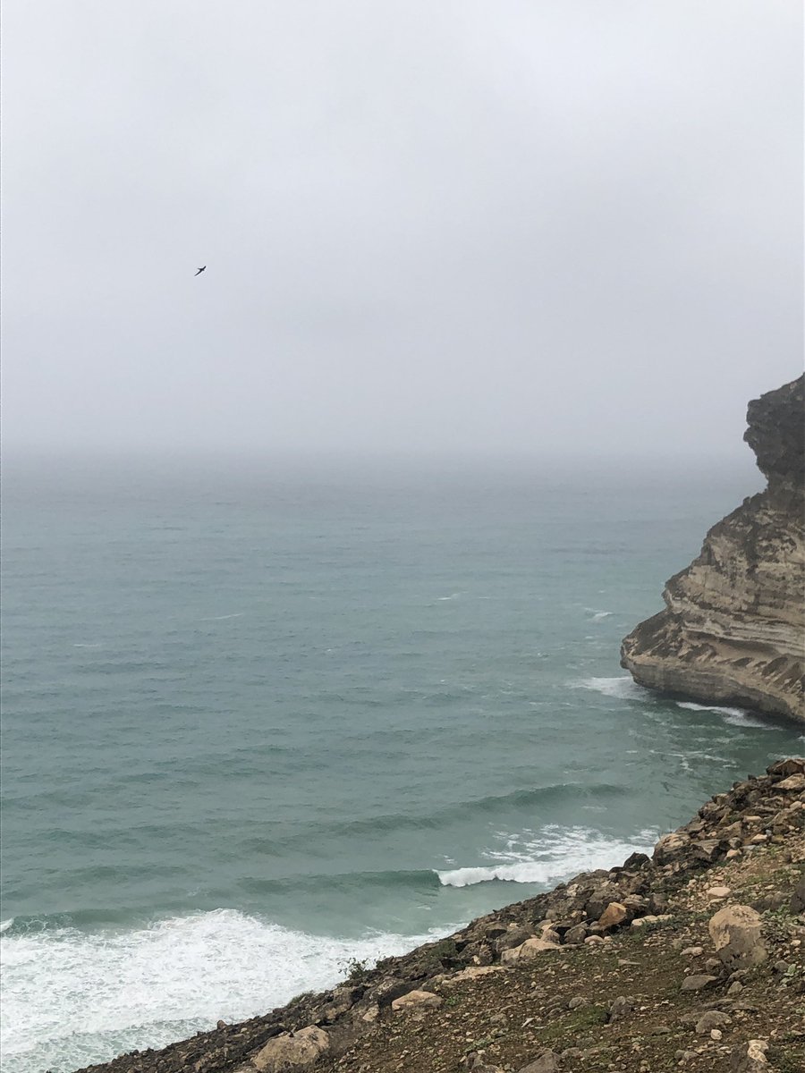 عشوائيات #خريف_صلالة_2023