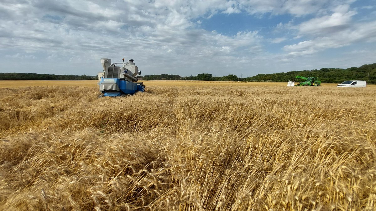 Pat2816's tweet image. Dernière étape de notre #TourDeFrance2023  
des #fragriMoisson2023 dans les essais blés, l&apos;ascension du col de la Voilur!
De 90 a 108qx.
...
Restera les colzas semaine prochaine.
#ceuxquifontlesessais
#fragrw