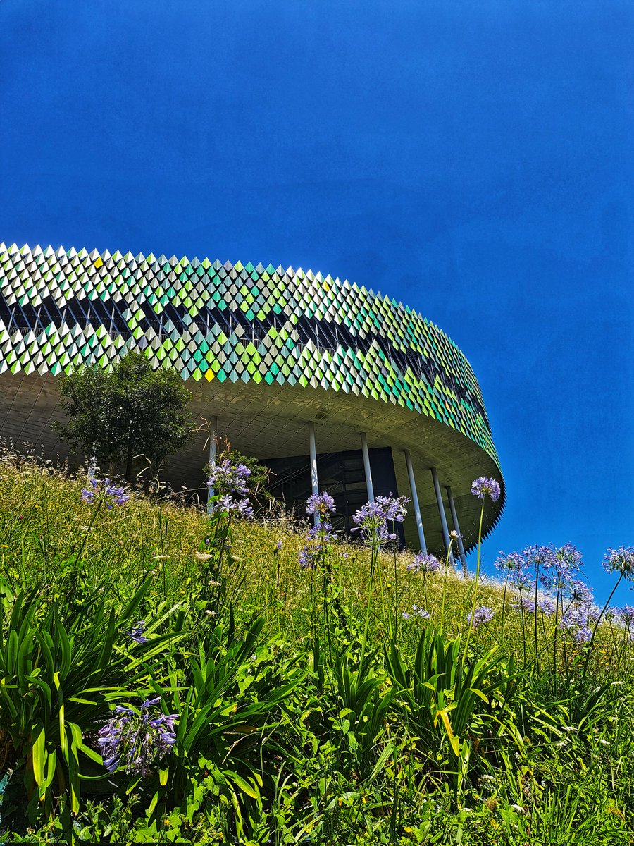 BilbaoArena's tweet photo. • 🌺🍀 •
#bilbaoarena #bilbao #summer #bilbaocentro #bilbaocity #visitbilbao https://t.co/y0dJylq3Um