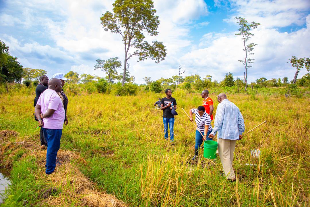 Day 12: Ifakara - The Gambia Training Program for Malaria Entomology
~
Aquatic surveys and lessons on Larval Source Management in Rural Settings 
~
Thanks <a href="/YPKitutuJr/">Yeromin</a> <a href="/ekaindoa/">Emmanuel Kaindoa</a> <a href="/EntoMohamed/">Mohamed Jumanne</a> <a href="/EmmanuelHape/">Emmanuel Hape</a> <a href="/IssaMshani1/">Issa Mshani</a> <a href="/halfan30/">Halfan Ngowo</a> <a href="/pinda_25/">@pinda_25</a> <a href="/Rukymohammad/">Rukiyah Mohammad</a> <a href="/NambungaIsmail/">Ismail NAMBUNGA</a> <a href="/MuyagaL/">Muyaga Letus</a>