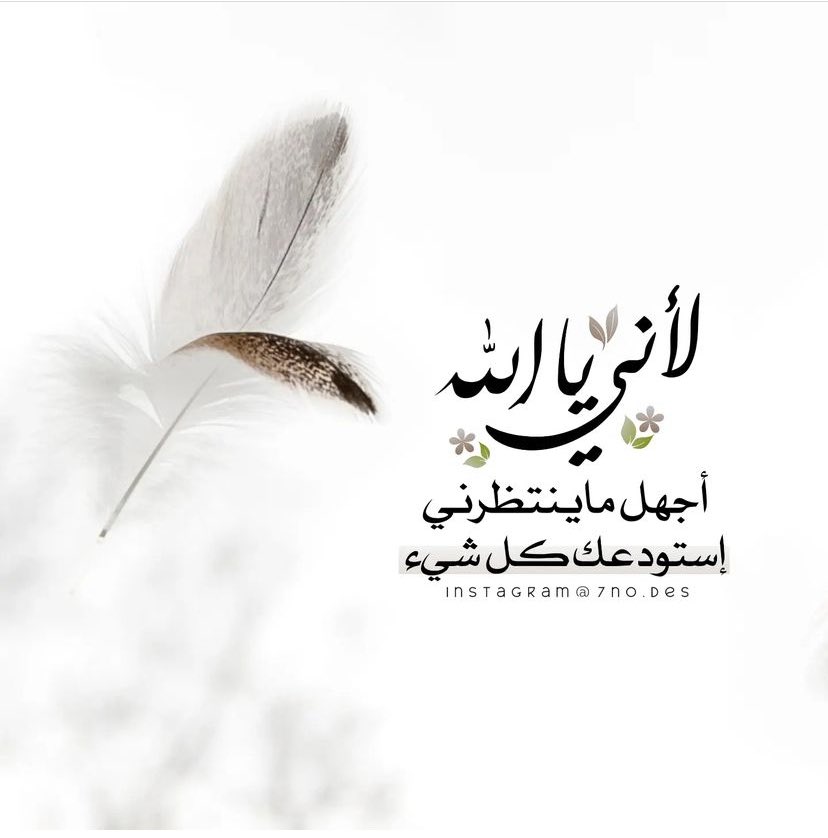 NadaAlahmed's tweet photo. #العام_الجديد_1445
"اللهم عام تتغير فيه أقدارنا الى أجمل ما نتمنى"♥️✨ https://t.co/EExDA3P3Xy