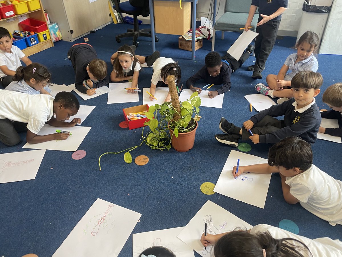 Wyvil Primary School tweet media