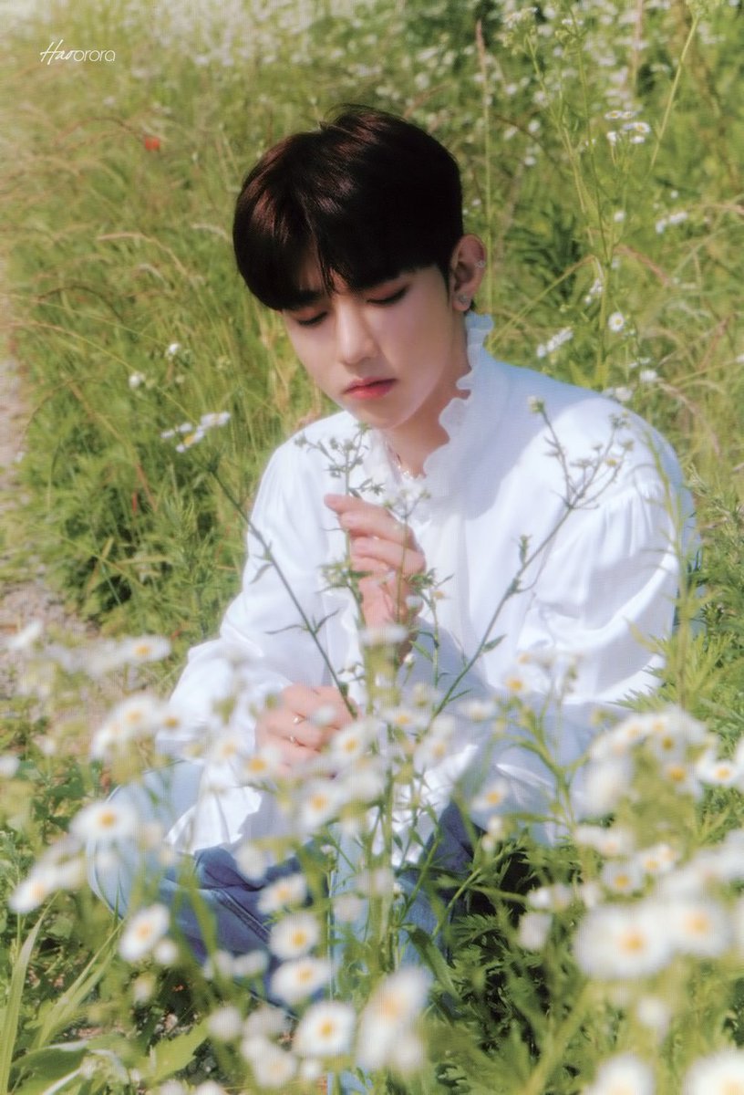 hao_scan's tweet photo. [SCAN]
YOUTH IN THE SHADE 앨범 스캔 3

https://t.co/Ykg275eTTr

#장하오 #ZHANGHAO
#제로베이스원 #ZEROBASEONE #ZB1 https://t.co/ps0AT1yBw1