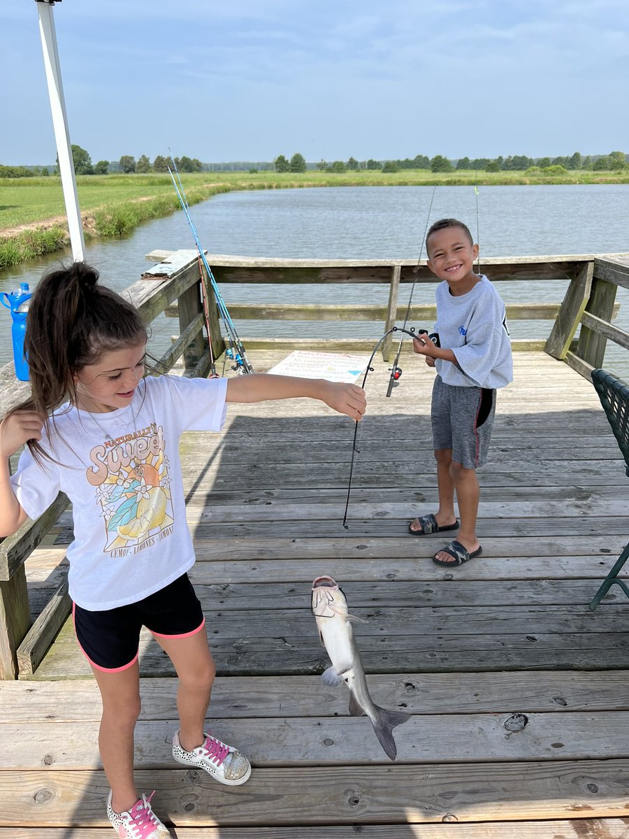 CountyUaex's tweet photo. ……..and the educational process  continues here at the Lonoke County 4-H Day Camp , https://t.co/mihRXwwwTH
