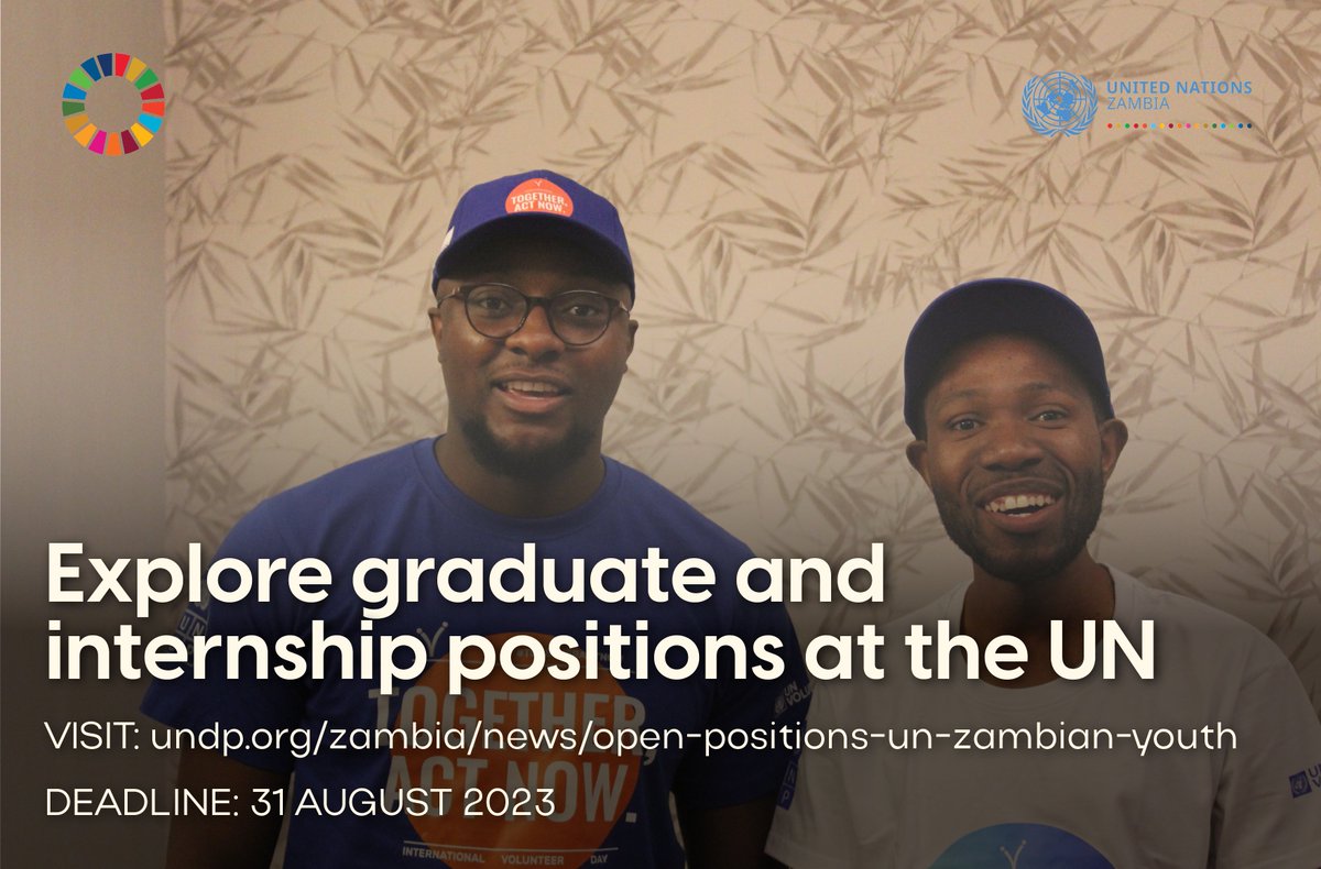 UNDPZambia's tweet photo. 🇺🇳Interested in a UN career? 

Explore 1️⃣6️⃣ Graduate Position &amp; 1️⃣7️⃣ Internship positions across 7️⃣ @UNZambia agencies!
 
🔗Click this link to view all the open positions offered under Phase 1 of the GRZ-UN Joint Programme on Youth

➡️https://t.co/uWS6hrlwBo https://t.co/KJoOo9Mmnc