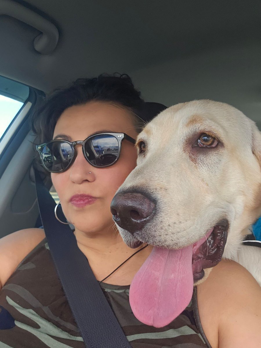 BluDog23's tweet photo. On a mission with mom! Headed to day camp to play with my friends! https://t.co/9A0brquiJ6