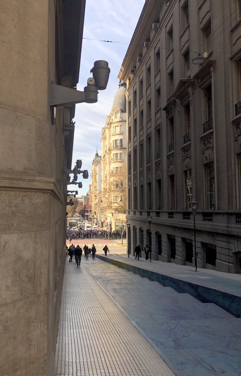 Gilda Izurieta 🪼 tweet media