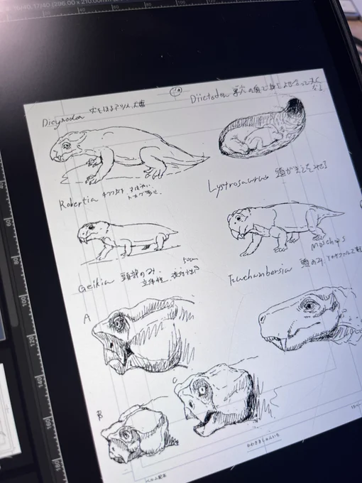 二年間で描いた挿絵のラフスケッチをまとめる作業。『前恐竜時代』より 