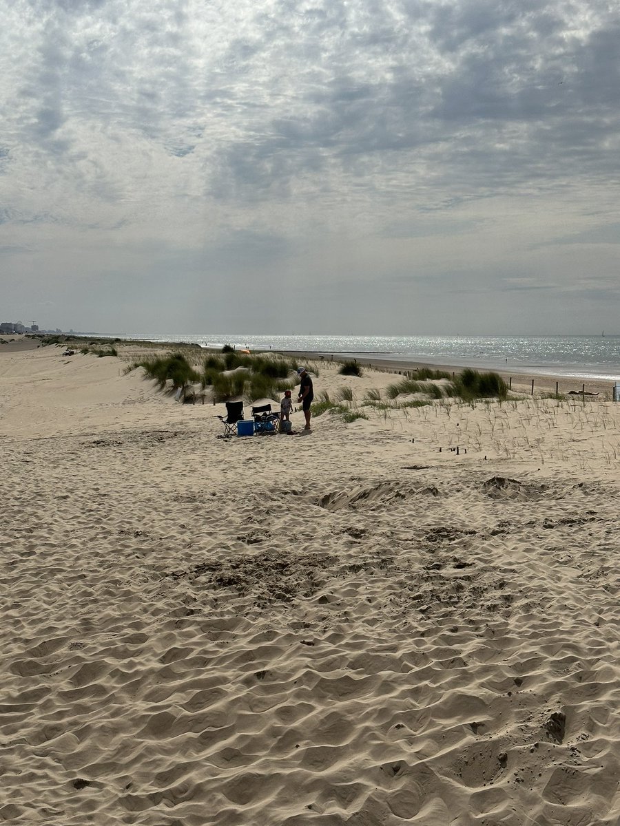 christophe's tweet image. Tombe de James Ensor  #ensor #jamesensor #ostende #oostende