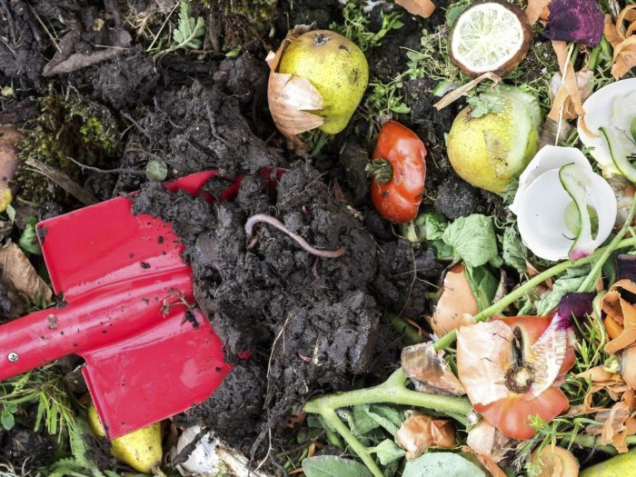 For a limited time, only until 8/13, Sustainable CT is boosting its Community Match Fund grants for all food waste diversion and composting project Don't waste this special funding opportunity: email funding@sustainablect.org to inquire today!