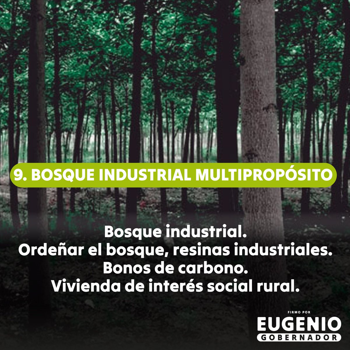 EugenioPrietoS's tweet photo. En #UnaAntioquiaViva vamos a aumentar el conocimiento, la protección y la generación de oportunidades a partir de la biodiversidad del departamento. 

Tendremos un Bosque Industrial Multipropósito para aprovechar los recursos forestales y acceder a resinas industriales, bonos de carbono y viviendas de interés rural.

Vamos a construir #UnaAntioquiaViva y sostenible en equilibrio entre lo económico, lo ambiental y lo social.