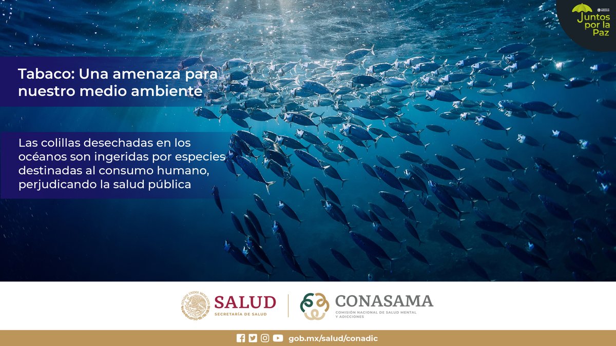 conasamamx's tweet photo. Las colillas desechadas en el entorno contaminan los suelos, las aguas y los ecosistemas naturales.

¡Es un buen motivo para dejar de fumar! 🚭🌎

#DateUnRespiro
#SinTabacoEsMejor https://t.co/aIovpZ24vH