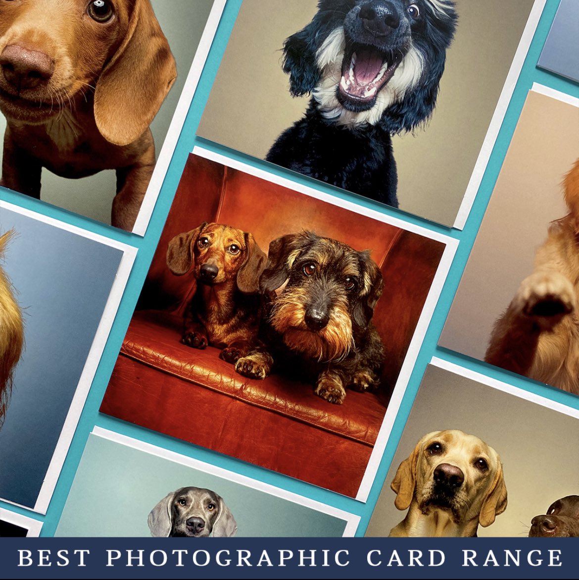 GreatBritishCards tweet media