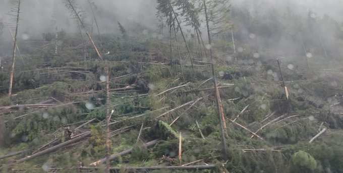 [Bild: F1VKLF7XgAA5Js0?format=jpg&name=small]