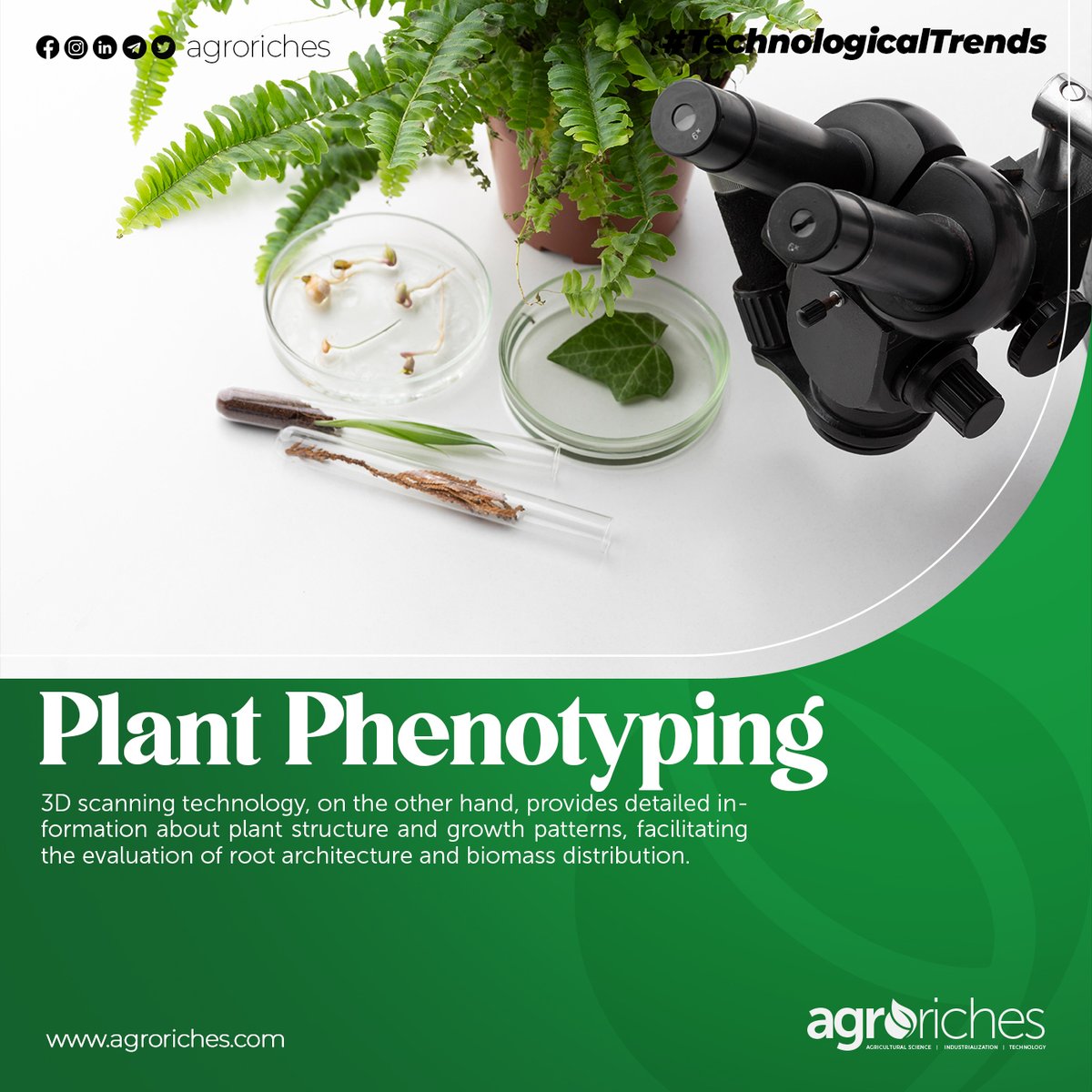 plant phenotyping, a 3d scanning technology.
Visit our website agroriches.com, to know the uses and benefits.

#agroriches #agriculturaltrends #agriculturenews #exploreghana #trendinginghana #machine #ghana #technews #farming #growth #agriculture #cocoa #crops #plants